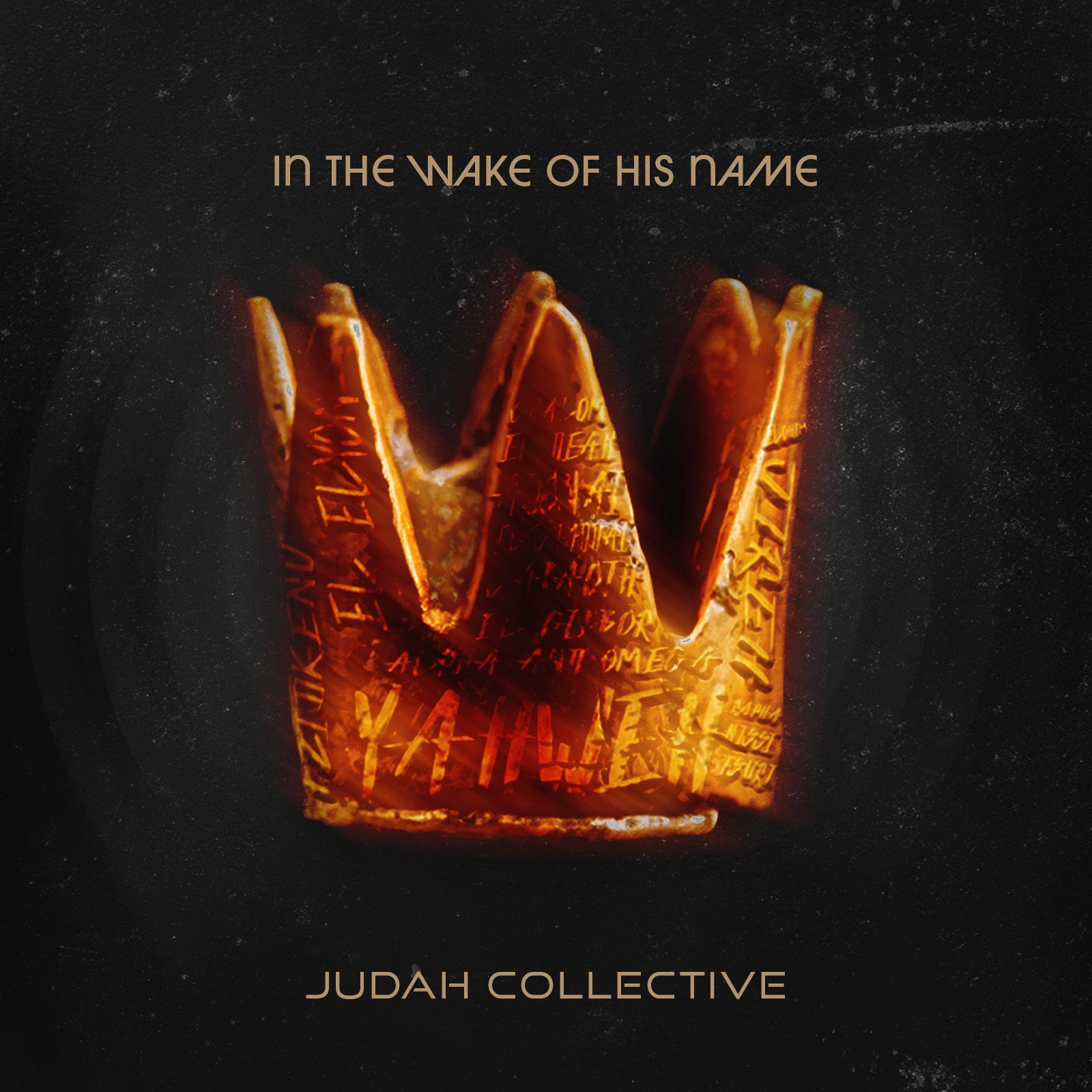 In the Wake of His Name - Digital Album